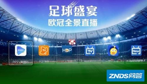 中国体育网排球直播平台