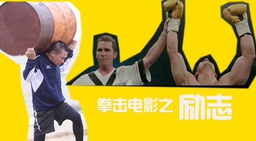 拳击比赛中国vs日本电影的相关图片