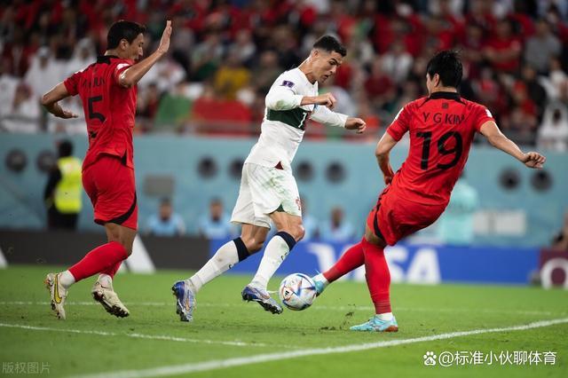葡萄牙vs韩国赛后冲突的相关图片
